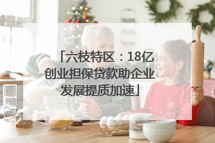 六枝特区：18亿创业担保贷款助企业发展提质加速