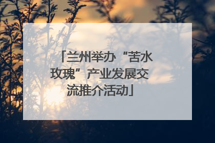 兰州举办“苦水玫瑰”产业发展交流推介活动