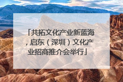 共拓文化产业新蓝海，启东（深圳）文化产业招商推介会举行