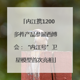 内江携1200多件产品参展西博会：“内江号”卫星模型首次亮相