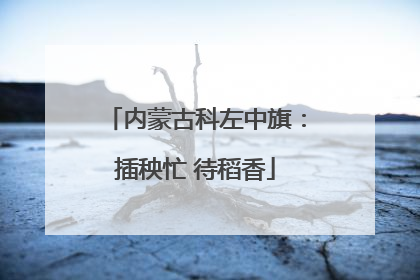 内蒙古科左中旗：插秧忙 待稻香