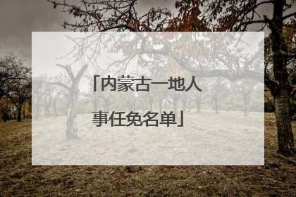 内蒙古一地人事任免名单