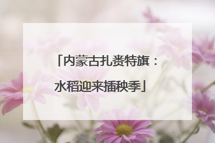内蒙古扎赉特旗：水稻迎来插秧季