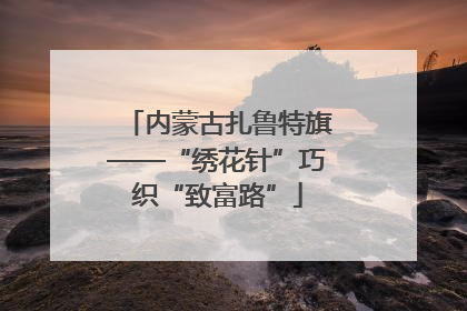 内蒙古扎鲁特旗——“绣花针”巧织“致富路”