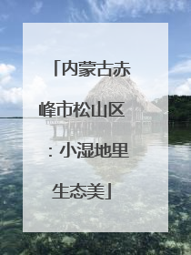 内蒙古赤峰市松山区：小湿地里生态美