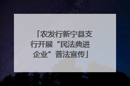 农发行新宁县支行开展“民法典进企业”普法宣传