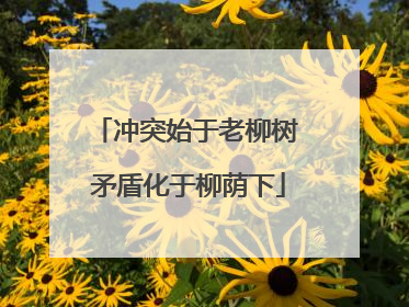 冲突始于老柳树 矛盾化于柳荫下