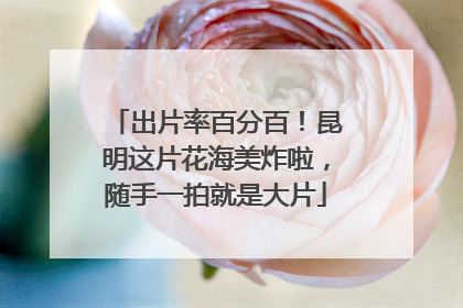 出片率百分百！昆明这片花海美炸啦，随手一拍就是大片