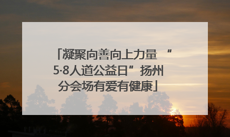 凝聚向善向上力量 “5·8人道公益日”扬州分会场有爱有健康