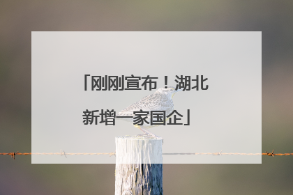 刚刚宣布！湖北新增一家国企