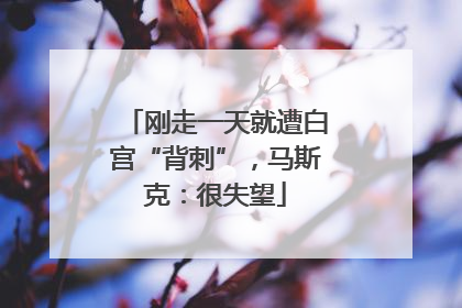 刚走一天就遭白宫“背刺”，马斯克：很失望