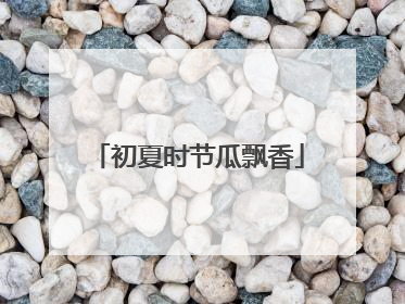 初夏时节瓜飘香