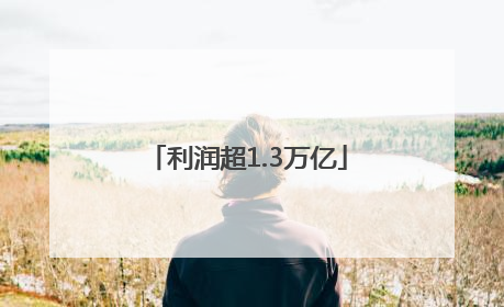 利润超1.3万亿