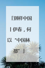 别样中国丨伊春，何以“中国林都”