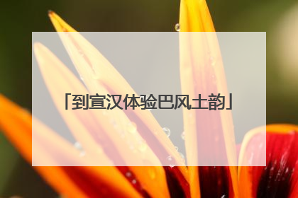 到宣汉体验巴风土韵