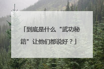 到底是什么“武功秘籍”让他们都说好？