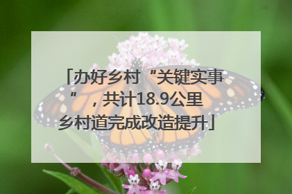 办好乡村“关键实事”，共计18.9公里乡村道完成改造提升