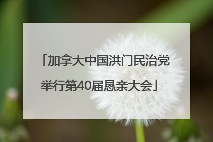 加拿大中国洪门民治党举行第40届恳亲大会