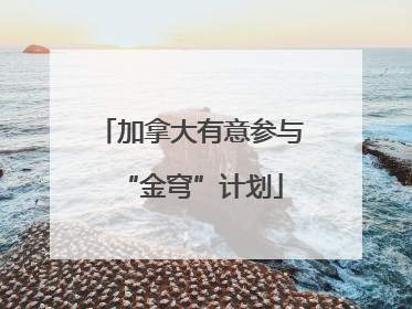 加拿大有意参与“金穹”计划