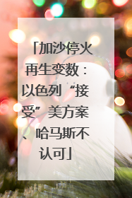 加沙停火再生变数：以色列“接受”美方案、哈马斯不认可