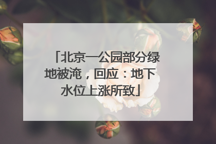 北京一公园部分绿地被淹，回应：地下水位上涨所致