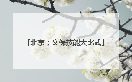 北京：文保技能大比武