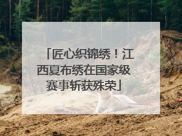 匠心织锦绣！江西夏布绣在国家级赛事斩获殊荣