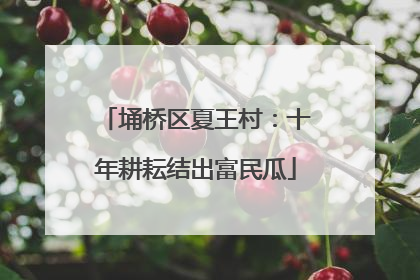 埇桥区夏王村：十年耕耘结出富民瓜