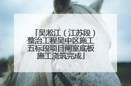 吴淞江（江苏段）整治工程吴中区施工五标段项目闸室底板施工浇筑完成