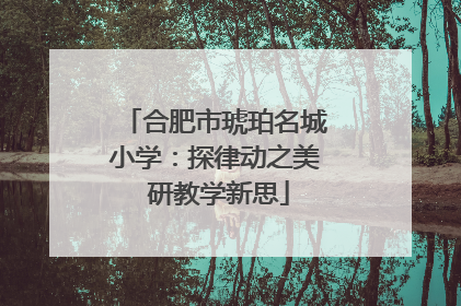 合肥市琥珀名城小学：探律动之美 研教学新思
