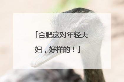 合肥这对年轻夫妇，好样的！