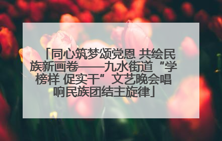 同心筑梦颂党恩 共绘民族新画卷——九水街道“学榜样 促实干”文艺晚会唱响民族团结主旋律