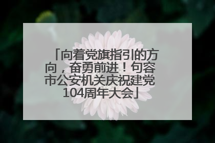 向着党旗指引的方向，奋勇前进！句容市公安机关庆祝建党104周年大会