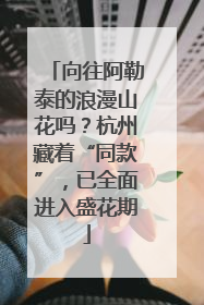 向往阿勒泰的浪漫山花吗？杭州藏着“同款”，已全面进入盛花期