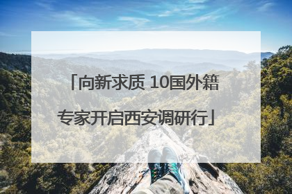 向新求质 10国外籍专家开启西安调研行