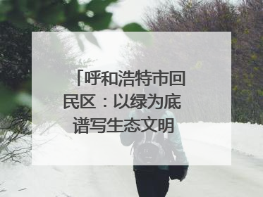 呼和浩特市回民区：以绿为底 谱写生态文明建设新篇章