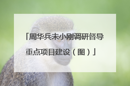 周华兵未小刚调研督导重点项目建设（图）