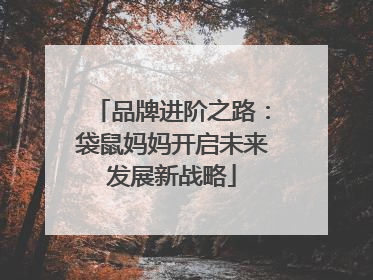 品牌进阶之路：袋鼠妈妈开启未来发展新战略