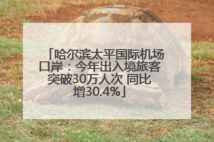 哈尔滨太平国际机场口岸：今年出入境旅客突破30万人次 同比增30.4%