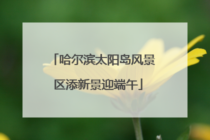 哈尔滨太阳岛风景区添新景迎端午