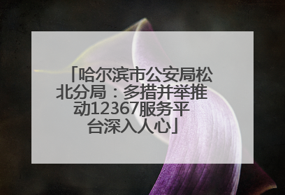 哈尔滨市公安局松北分局：多措并举推动12367服务平台深入人心