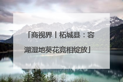 商视界丨柘城县：容湖湿地葵花竞相绽放