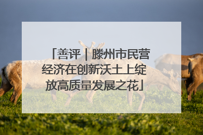 善评｜滕州市民营经济在创新沃土上绽放高质量发展之花