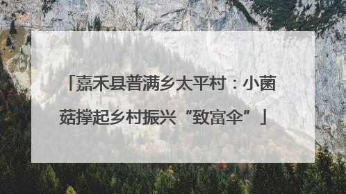 嘉禾县普满乡太平村：小菌菇撑起乡村振兴“致富伞”