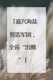 嘉兴海盐智造军团，全省“出圈”