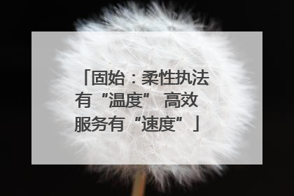 固始：柔性执法有“温度” 高效服务有“速度”