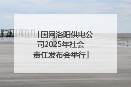 国网洛阳供电公司2025年社会责任发布会举行