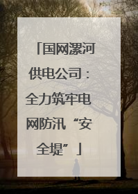 国网漯河供电公司：全力筑牢电网防汛“安全堤”