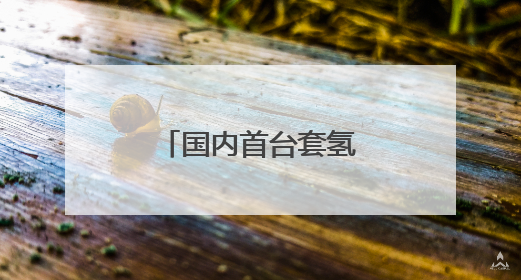 国内首台套氢内燃机发电机组投入商业运营