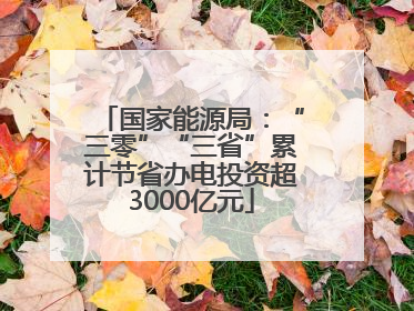 国家能源局：“三零”“三省”累计节省办电投资超3000亿元